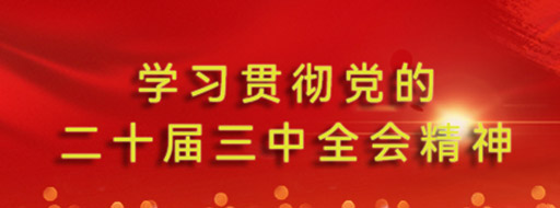 ��Ҫ����